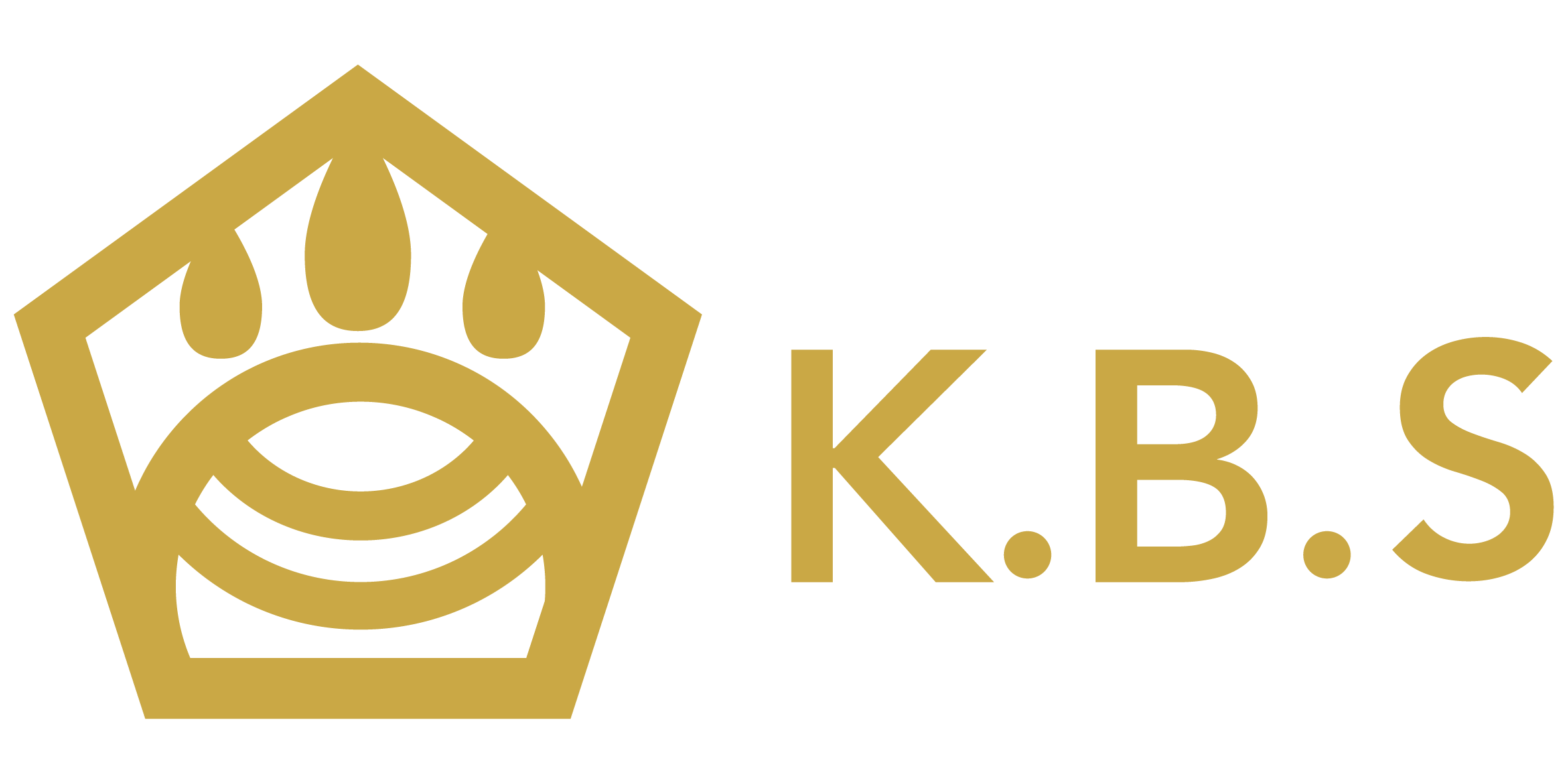 KBS合同会社